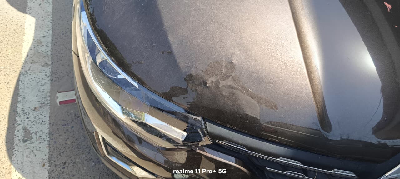 Renault Triber(2023-2024) Rxz